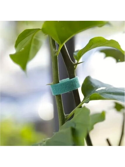 Velcro sodo juosta 5m Gardlov 25362 12