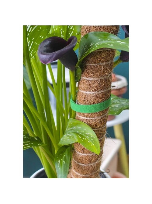 Velcro sodo juosta 5m Gardlov 25362 10