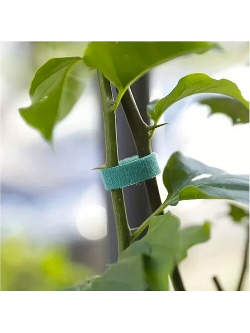 Velcro sodo juosta 5m Gardlov 25362 12